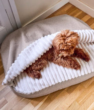 Laden Sie das Bild in den Galerie-Viewer, Beiges Hundebett aus Chenille mit Kapuze, Maso