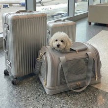 Laden Sie das Bild in den Galerie-Viewer, Hundetragetasche fürs Flugzeug Cloud Nest (Grau)