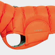 Laden Sie das Bild in den Galerie-Viewer, Cloud7 Hundemantel Alaska Burnt Orange