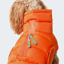 Laden Sie das Bild in den Galerie-Viewer, Cloud7 Hundemantel Alaska Burnt Orange