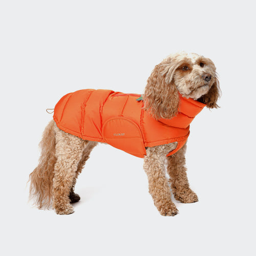 Cloud7 Hundemantel Alaska Burnt Orange