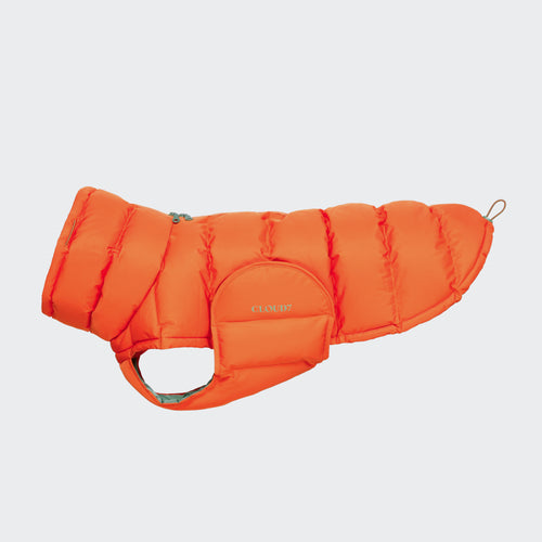 Cloud7 Hundemantel Alaska Burnt Orange