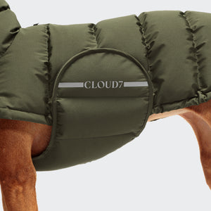 Cloud7 Hundemantel Winter Alaska Oliv