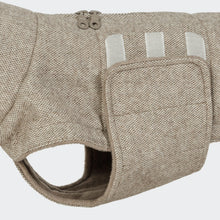 Laden Sie das Bild in den Galerie-Viewer, Cloud7 Hundemantel Dackel Brooklyn Tweed Beige (Mitte Oktober verfügbar)