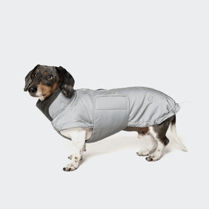 Cloud7 Hundemantel Dackel Brooklyn Reflective