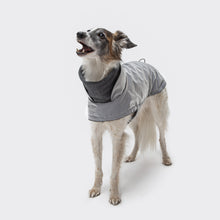 Laden Sie das Bild in den Galerie-Viewer, Cloud7 Hundemantel Brooklyn Reflective