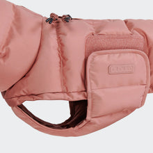 Laden Sie das Bild in den Galerie-Viewer, Cloud7 Hundemantel Dackel Alaska Faded Rose