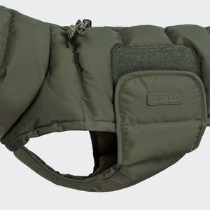 Cloud7 Hundemantel Dackel Alaska Light Oliv