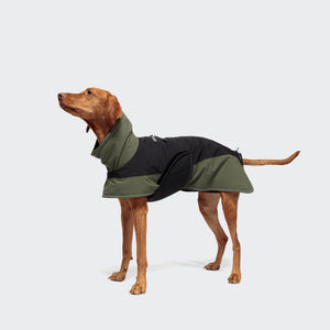 Hundemantel Winter Everest Black/Olive