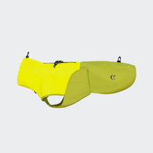 Laden Sie das Bild in den Galerie-Viewer, Cloud7 Hunderegenmantel Dackel AKTIV Neon Green/Light Olive