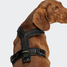 Laden Sie das Bild in den Galerie-Viewer, Cloud7 Y-1 Geschirr AKTIV Air-Mesh Black