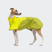 Laden Sie das Bild in den Galerie-Viewer, Cloud7 Hunderegenmantel AKTIV Neon Green/Light Olive