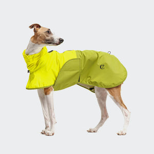 Cloud7 Hunderegenmantel AKTIV Neon Green/Light Olive