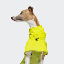 Laden Sie das Bild in den Galerie-Viewer, Cloud7 Hunderegenmantel AKTIV Neon Green/Light Olive
