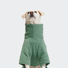 Laden Sie das Bild in den Galerie-Viewer, Cloud7 Hundepullover Fleece Cornwall Dusty Green