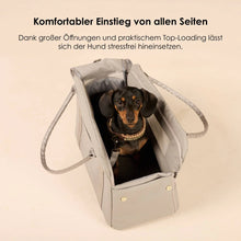 Laden Sie das Bild in den Galerie-Viewer, Hundetragetasche fürs Flugzeug Cloud Summit Beige