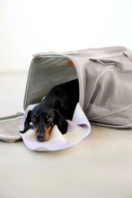 Laden Sie das Bild in den Galerie-Viewer, Hundetragetasche - Benno, Taupe
