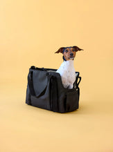 Laden Sie das Bild in den Galerie-Viewer, Hundetasche - Weda, Schwarz