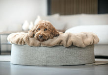 Laden Sie das Bild in den Galerie-Viewer, Hundebett Buddelnest Karamell