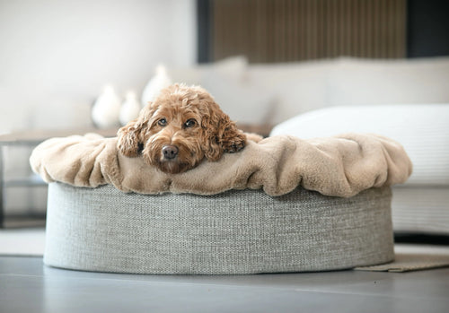 Hundebett Buddelnest Karamell
