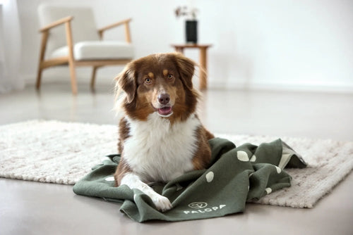 Hundedecke L - Ida, Punkte Dunkelgrün