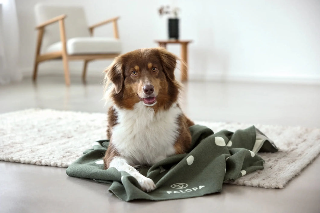 Hundedecke L - Ida, Punkte Dunkelgrün