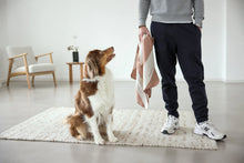 Laden Sie das Bild in den Galerie-Viewer, Hundedecke M - Ida, Streifen Ahorn