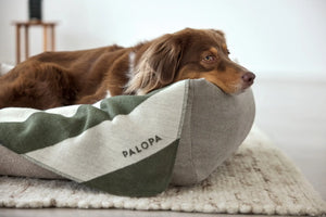 Hundedecke - Ida, Streifen Rosa Dunkelgrün