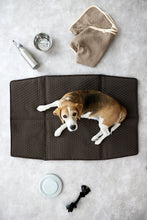 Laden Sie das Bild in den Galerie-Viewer, Hundemattentasche - Nobo, Anthrazit