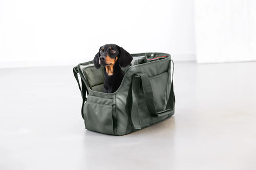 Hundetasche - Weda, Dunkelgrün