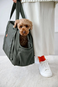 Hundetasche - Weda, Dunkelgrün
