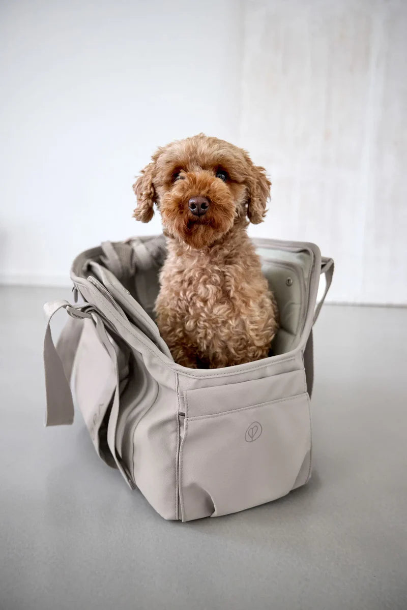 Hundetasche - Weda, Taupe