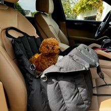 Laden Sie das Bild in den Galerie-Viewer, JAfein! Dogs &amp; Style Hundetasche Car Paris Schwarz
