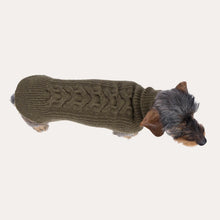 Laden Sie das Bild in den Galerie-Viewer, Leopold´s Finest Hundestrickpullover oliv
