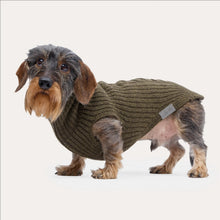 Laden Sie das Bild in den Galerie-Viewer, Leopold´s Finest Hundestrickpullover oliv