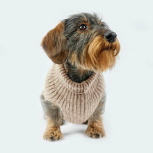 Laden Sie das Bild in den Galerie-Viewer, Leopold´s Finest Hundestrickpullover taupe