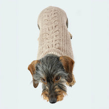 Laden Sie das Bild in den Galerie-Viewer, Leopold´s Finest Hundestrickpullover taupe