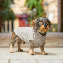 Laden Sie das Bild in den Galerie-Viewer, Leopold´s Finest Hundestrickpullover taupe