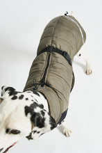 Laden Sie das Bild in den Galerie-Viewer, MiaCara Wintermantel Cosima Grolive