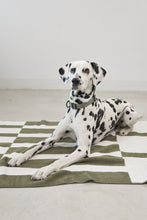 Laden Sie das Bild in den Galerie-Viewer, MiaCara Hundedecke Blocco Grolive/Natur