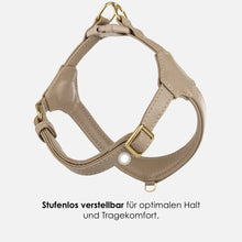 Laden Sie das Bild in den Galerie-Viewer, Step-In Leder Geschirr Pico für kleine Hunde beige