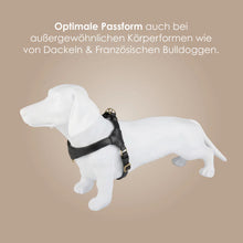Laden Sie das Bild in den Galerie-Viewer, Step-In Leder Geschirr Pico für kleine Hunde schwarz