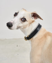 Laden Sie das Bild in den Galerie-Viewer, MiaCara Hundehalsband Siena