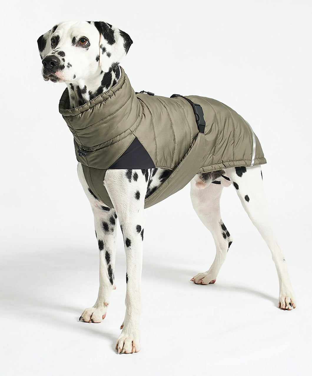 MiaCara Wintermantel Cosima Grolive