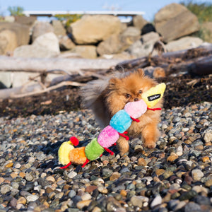 Hundespielzeug ZippyPaws Raupe
