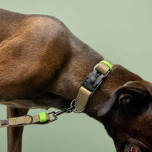 Laden Sie das Bild in den Galerie-Viewer, Cloud7 Hundeleine verstellbar BioThane Ipanema Olive-Neongreen