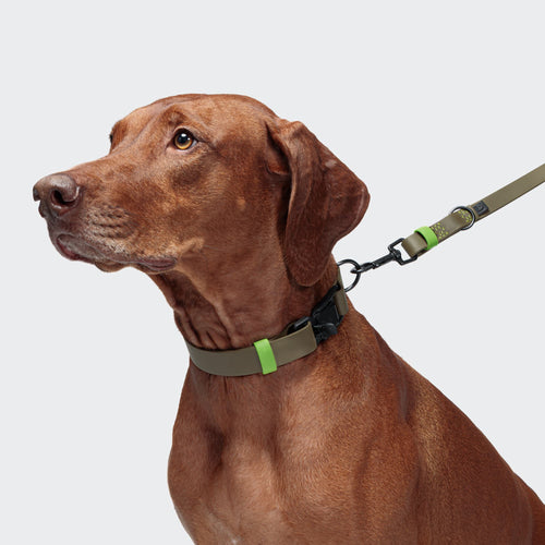 Cloud7 Hundehalsband BioThane Ipanema Olive-Neongreen