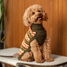 Laden Sie das Bild in den Galerie-Viewer, Alpaka-Hundepullover mit Wald-Chevron-Muster