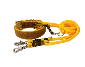 Hundeleine Seil rund gelb-braun