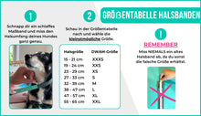 Laden Sie das Bild in den Galerie-Viewer, DWAM Hundehalsband Boomer